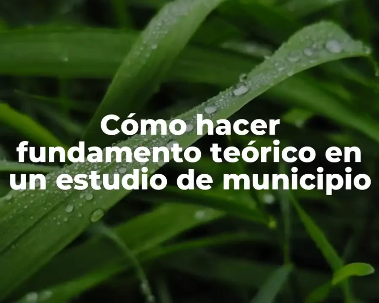 Cómo hacer fundamento teórico en un estudio de municipio