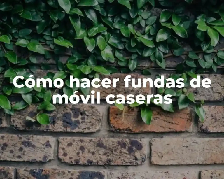 Cómo hacer fundas de móvil caseras