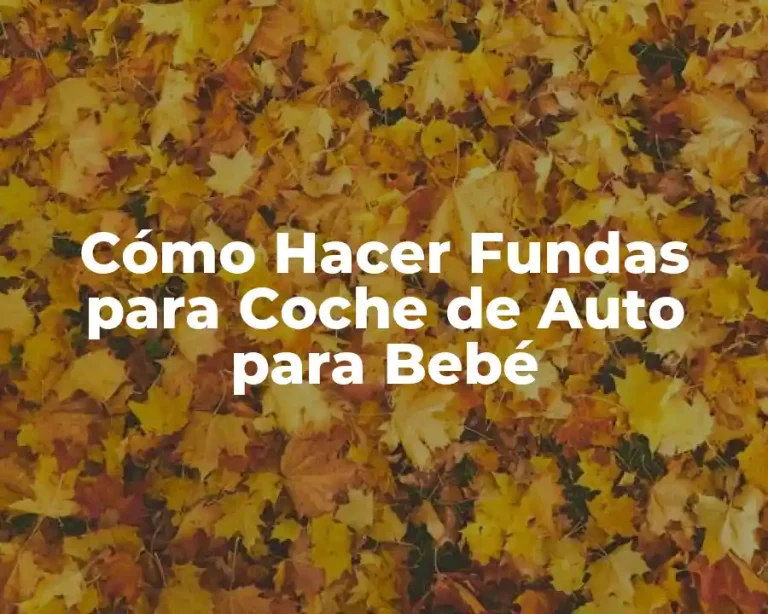 Cómo Hacer Fundas para Coche de Auto para Bebé