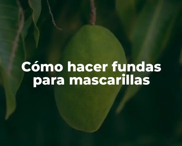 Cómo hacer fundas para mascarillas
