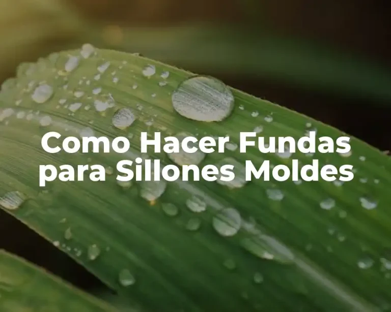 Como Hacer Fundas para Sillones Moldes