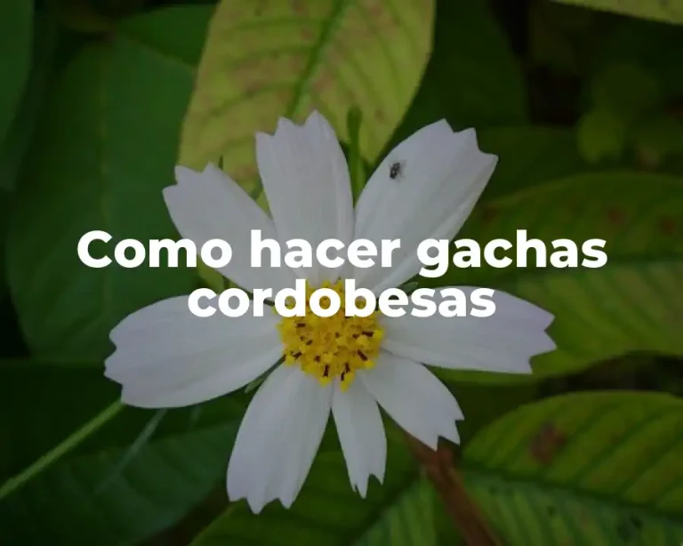 Como hacer gachas cordobesas