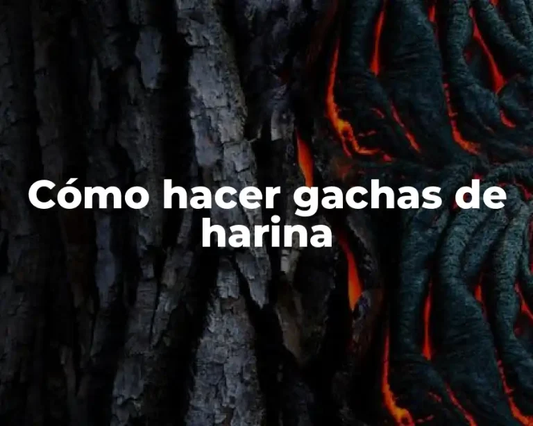 Cómo hacer gachas de harina