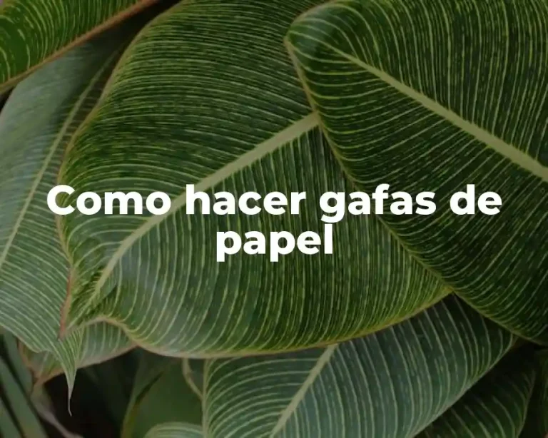 Como hacer gafas de papel