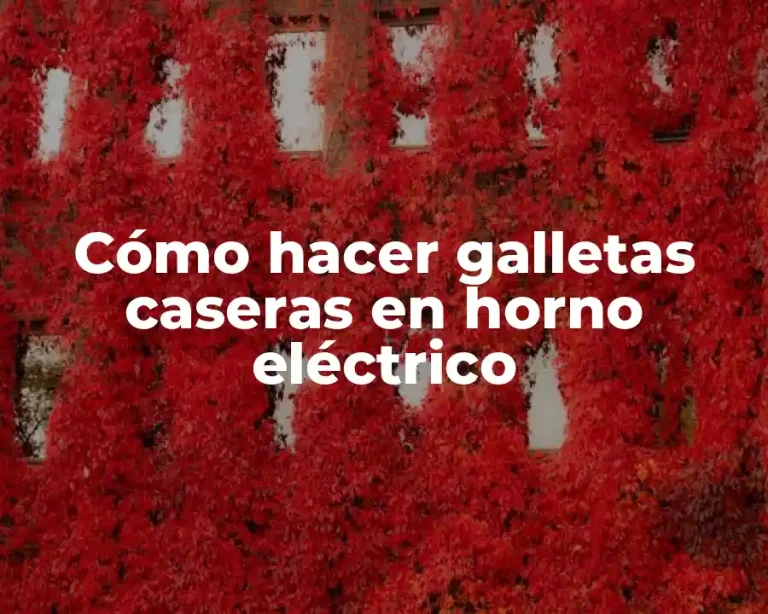 Cómo hacer galletas caseras en horno eléctrico