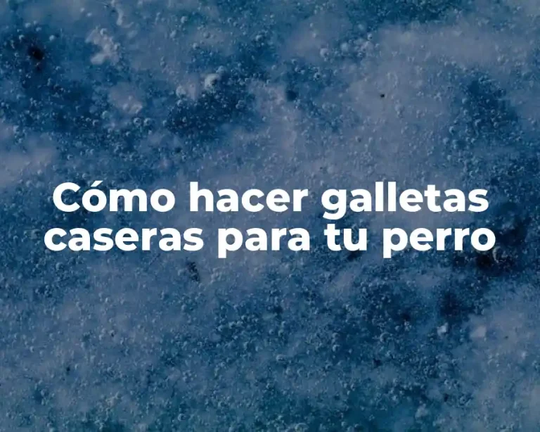 Cómo hacer galletas caseras para tu perro