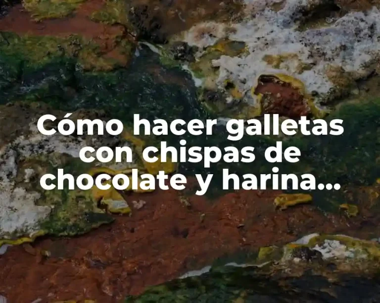 Cómo hacer galletas con chispas de chocolate y harina integral