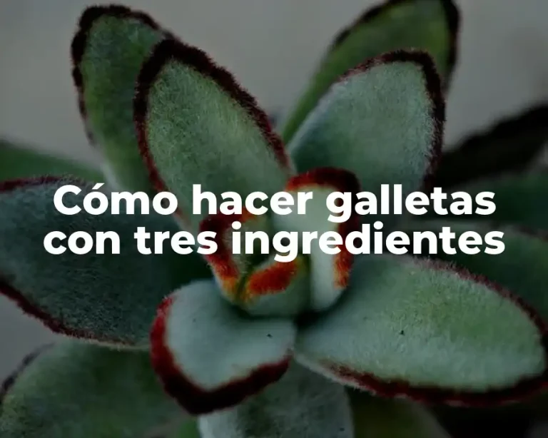 Cómo hacer galletas con tres ingredientes