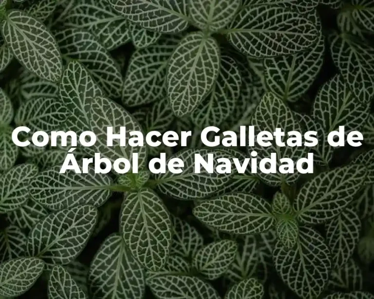 Como Hacer Galletas de Árbol de Navidad