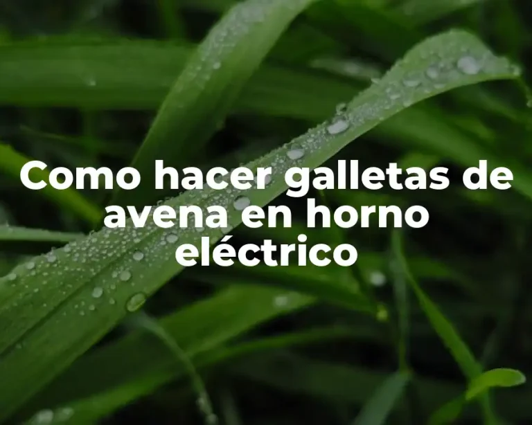 Como hacer galletas de avena en horno eléctrico