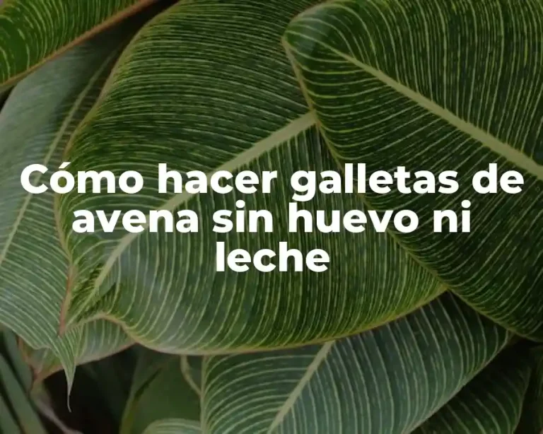 Cómo hacer galletas de avena sin huevo ni leche