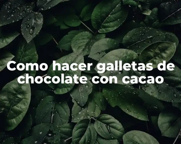 Como hacer galletas de chocolate con cacao