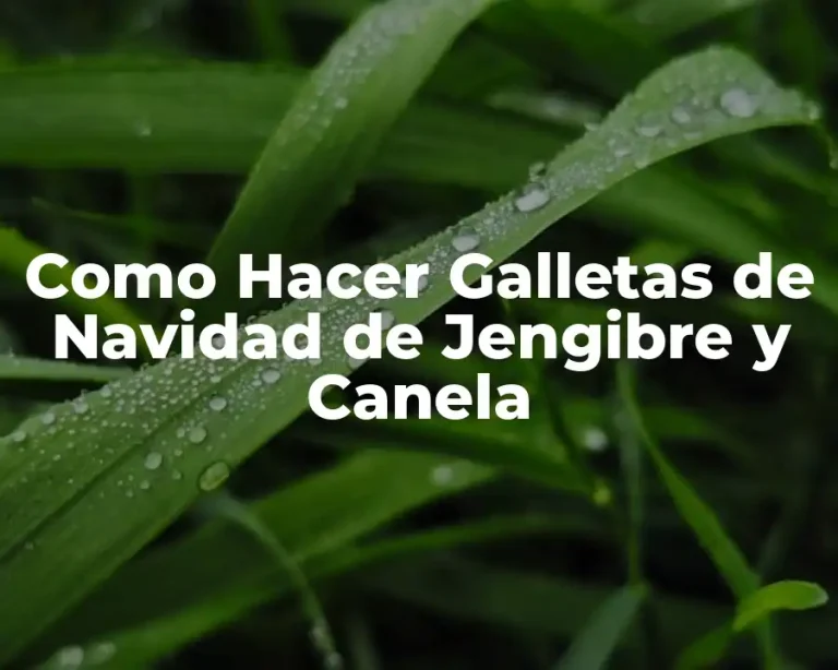 Como Hacer Galletas de Navidad de Jengibre y Canela