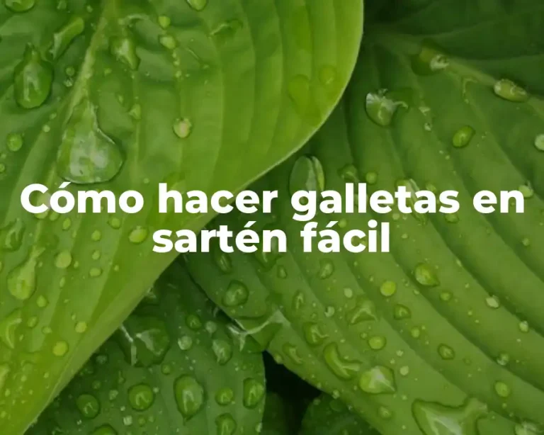 Cómo hacer galletas en sartén fácil