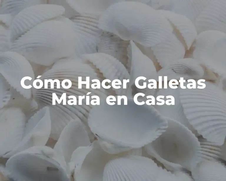 Cómo Hacer Galletas María en Casa