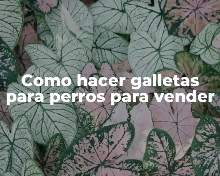 Como hacer galletas para perros para vender