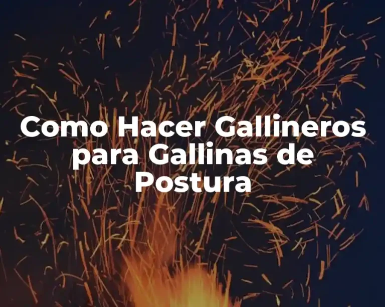 Como Hacer Gallineros para Gallinas de Postura