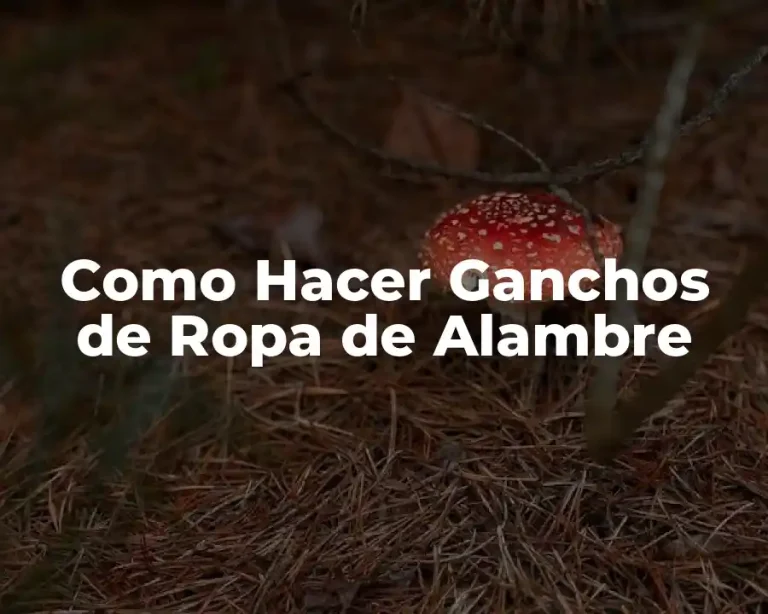 Como Hacer Ganchos de Ropa de Alambre