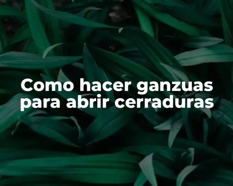 Como hacer ganzuas para abrir cerraduras