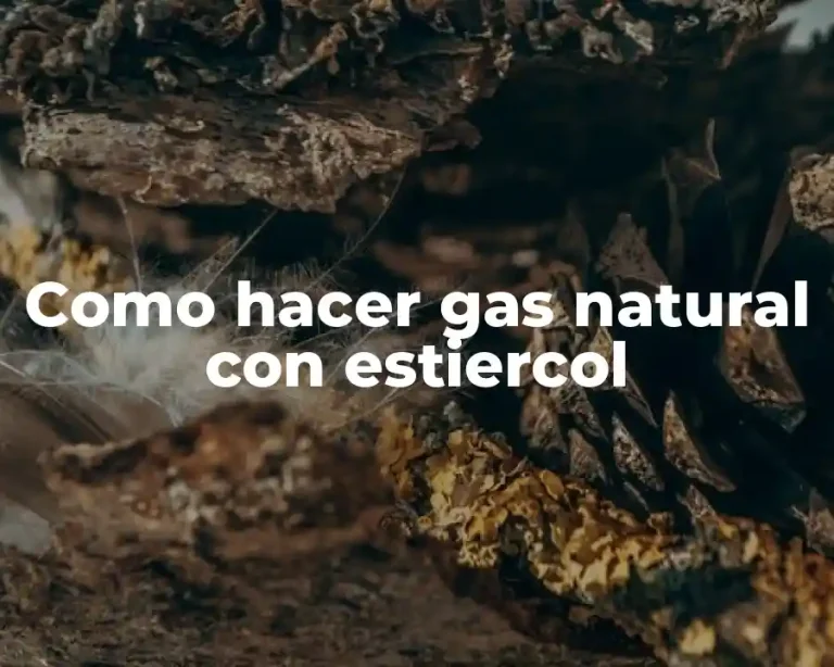 Como hacer gas natural con estiercol