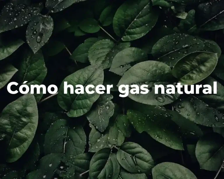 Cómo hacer gas natural