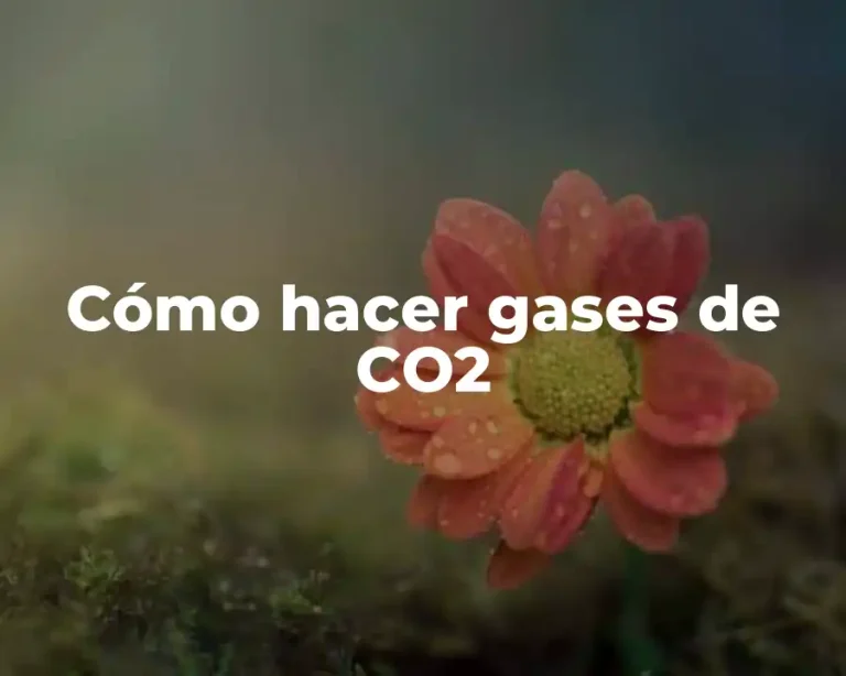 Cómo hacer gases de CO2