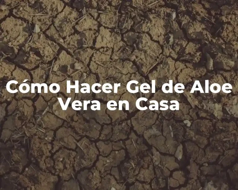 Cómo Hacer Gel de Aloe Vera en Casa