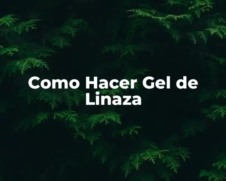 Como Hacer Gel de Linaza