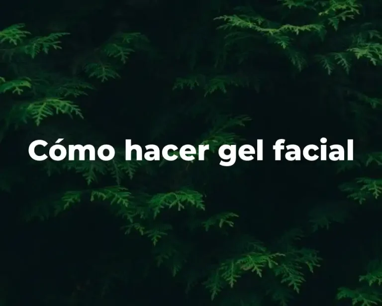 Cómo hacer gel facial