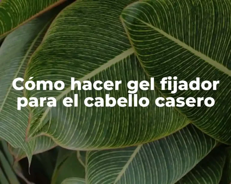 Cómo hacer gel fijador para el cabello casero