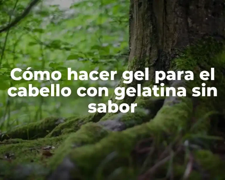 Cómo hacer gel para el cabello con gelatina sin sabor