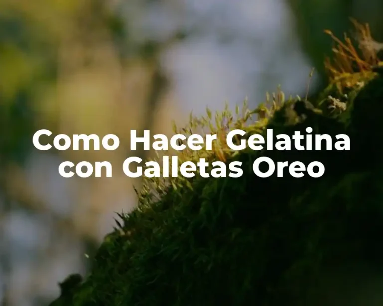 Como Hacer Gelatina con Galletas Oreo