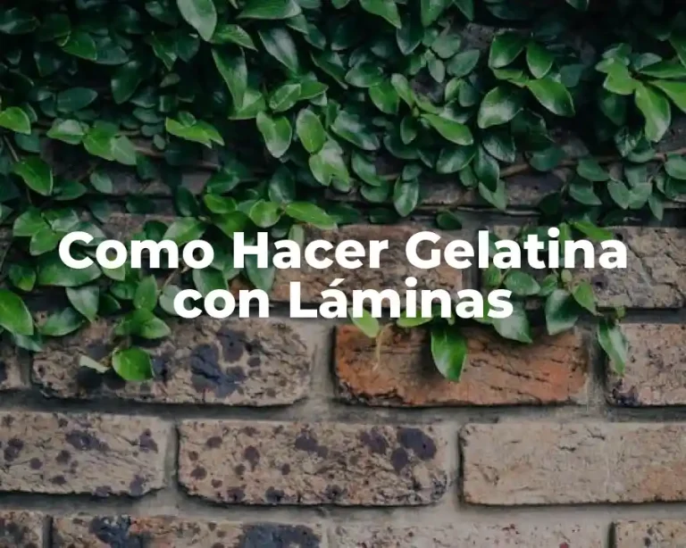 Como Hacer Gelatina con Láminas