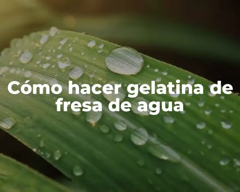 Cómo hacer gelatina de fresa de agua
