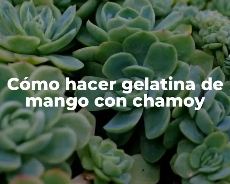Cómo hacer gelatina de mango con chamoy