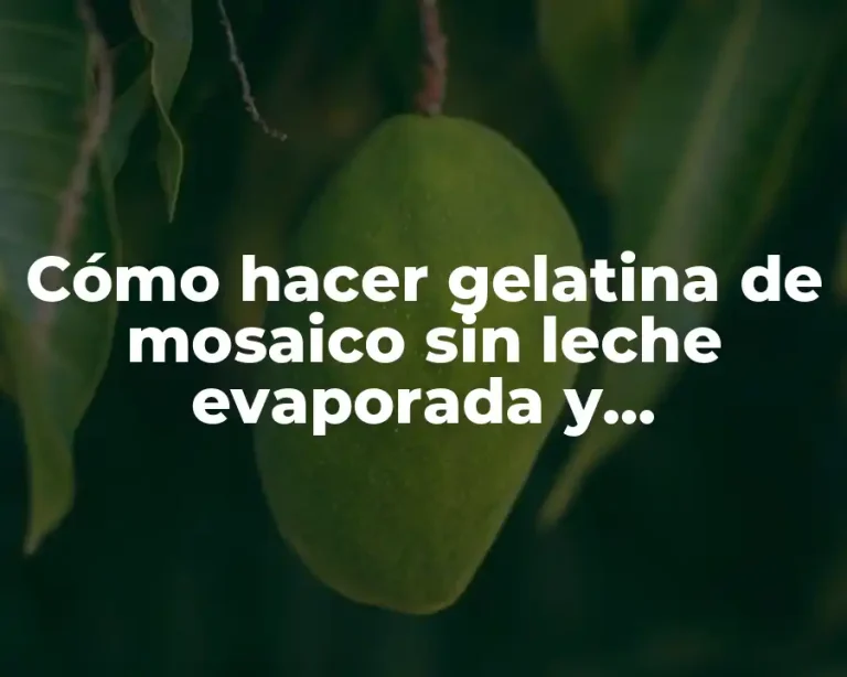 Cómo hacer gelatina de mosaico sin leche evaporada y condensada