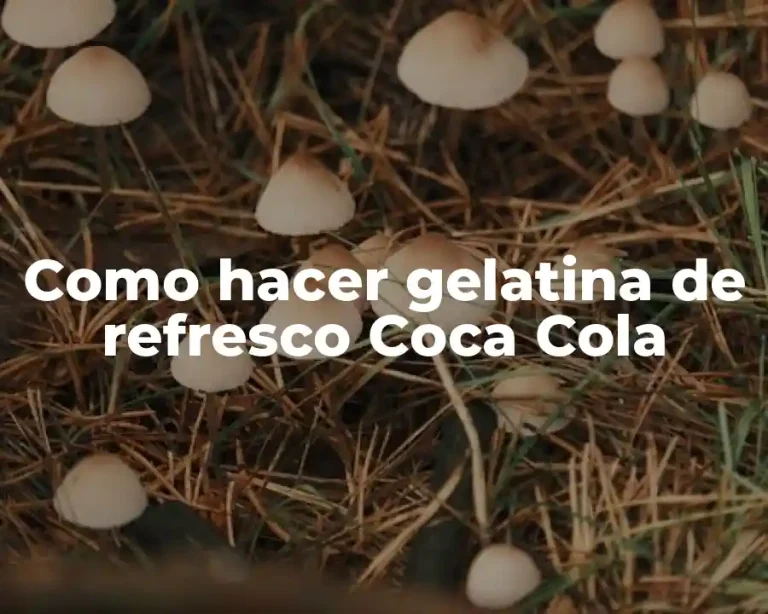 Como hacer gelatina de refresco Coca Cola