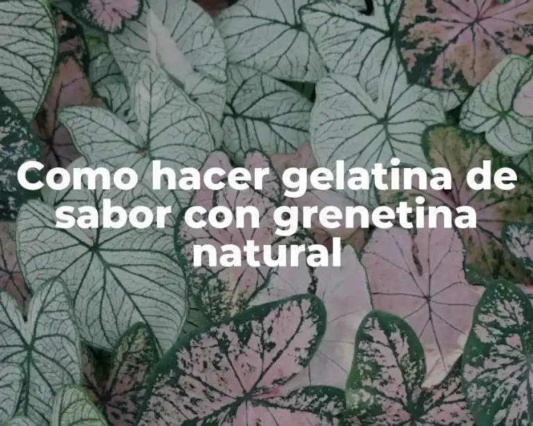 Como hacer gelatina de sabor con grenetina natural