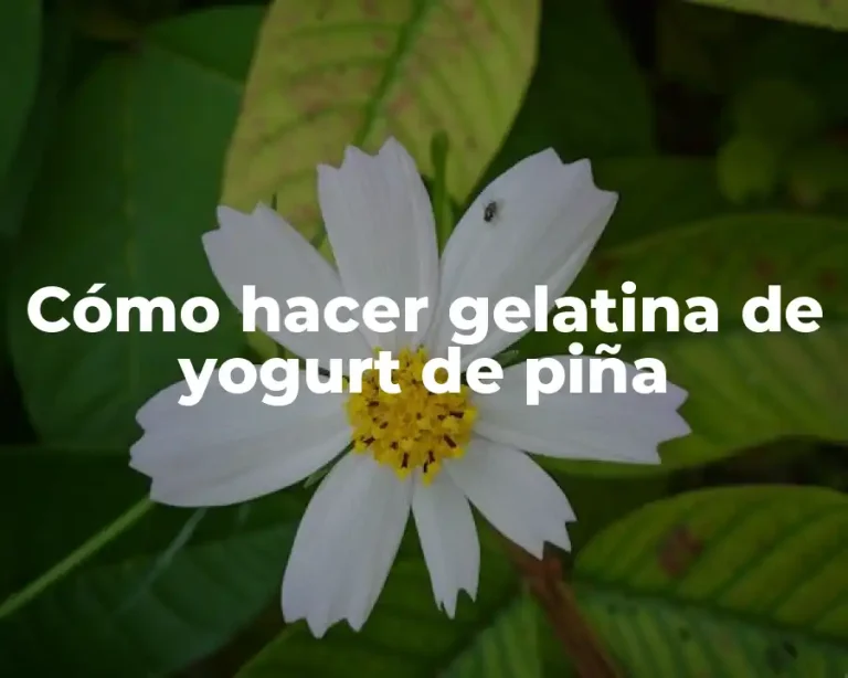 Cómo hacer gelatina de yogurt de piña