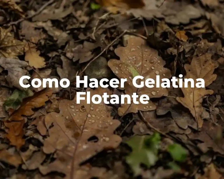 Como Hacer Gelatina Flotante