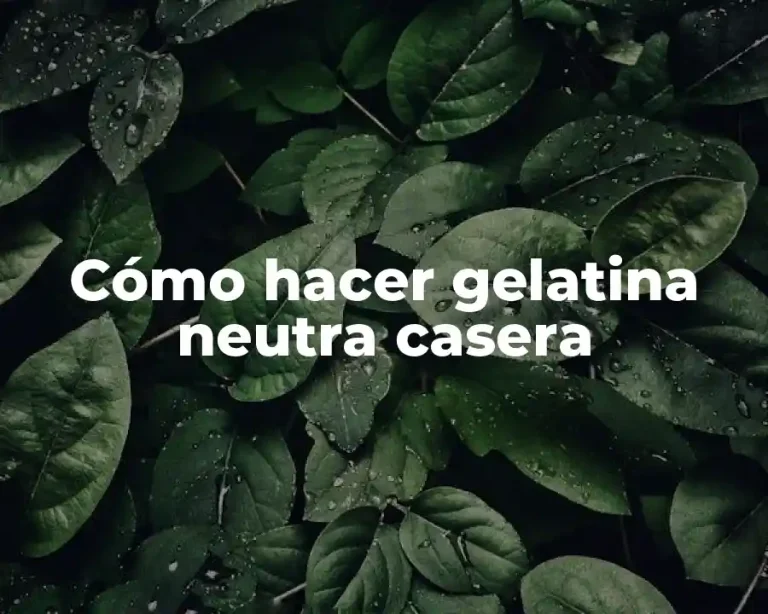 Cómo hacer gelatina neutra casera