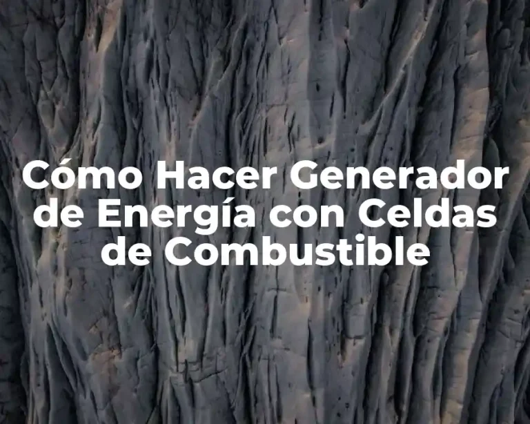 Cómo Hacer Generador de Energía con Celdas de Combustible