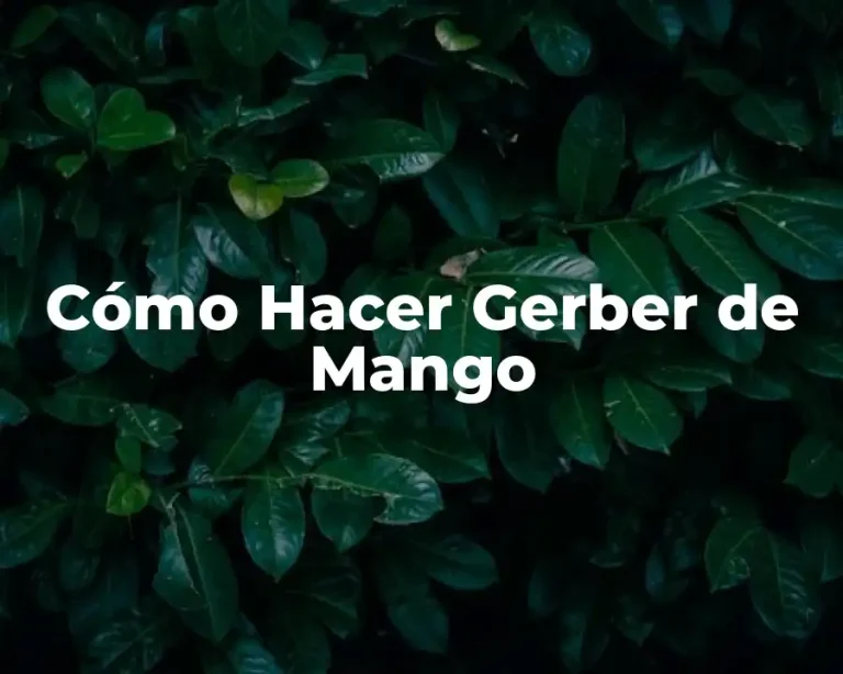 Cómo Hacer Gerber de Mango