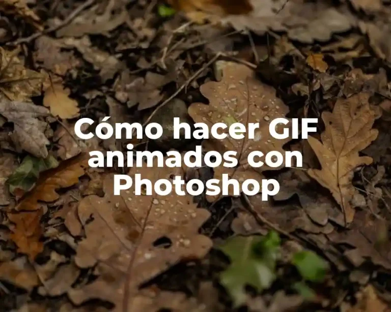 Cómo hacer GIF animados con Photoshop