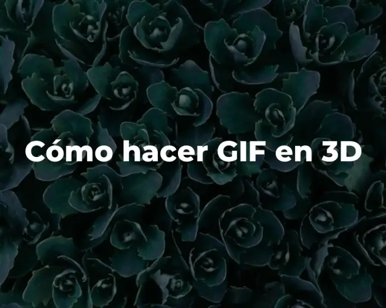 Cómo hacer GIF en 3D
