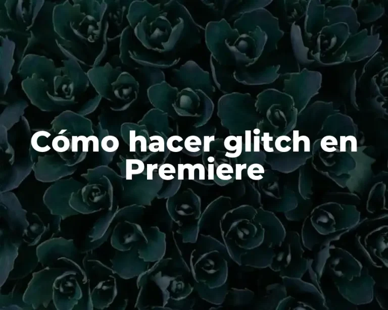 Cómo hacer glitch en Premiere