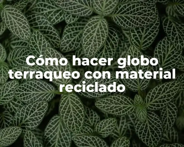 Cómo hacer globo terraqueo con material reciclado