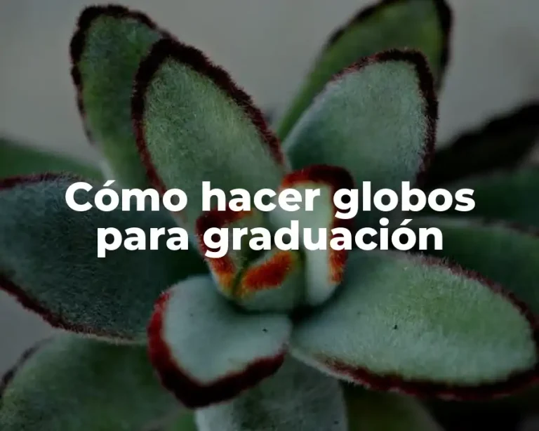 Cómo hacer globos para graduación
