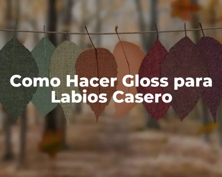 Como Hacer Gloss para Labios Casero