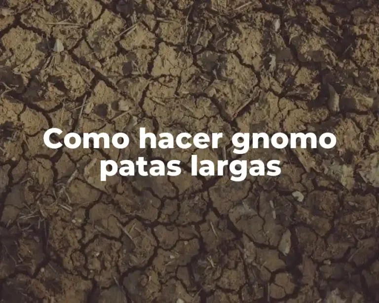 Como hacer gnomo patas largas